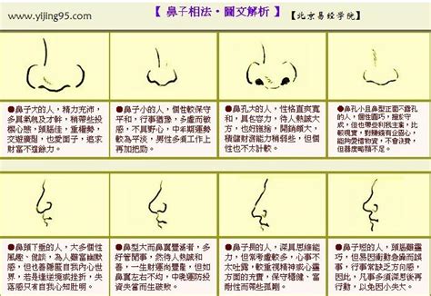 鼻子看面相|面相识别: 如何通过鼻子看一个人! 看懂就赚大了